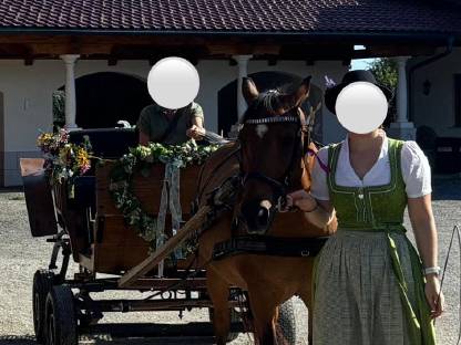 Bild 2:Kutsche Einspänner Steirerwagerl
