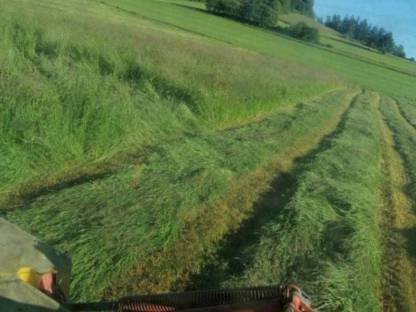 Bild 2:Heuballen 1. Schnitt 2025