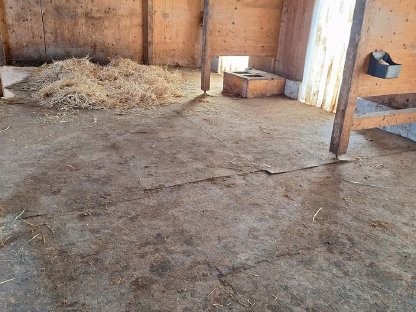 Bild 3:Gemütliche, gepflegte Einstellplätze frei