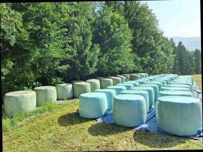 Silageballen 2023/2025