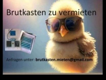 Bild 9:Bruteier oder Lohnbrut