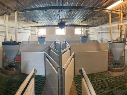 Bild 4:Schweinezuchtanlage und Schlachthof - 29,25 ha - Grenznähe