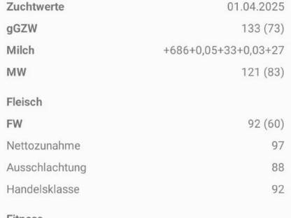 Zuchtstier Braunvieh und Red Holstein