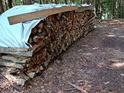 Brennholz