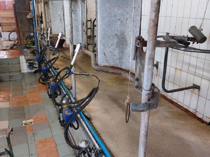 4X FG MELKSTAND+ 1400L TANK+ WACHAUTOMAT