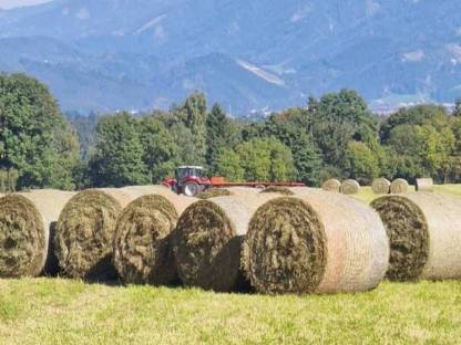 Bild 2:Heuballen