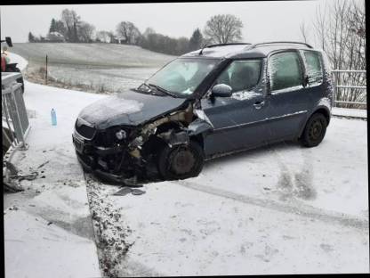 Bild 7:Skoda Roomster Schlachtfest