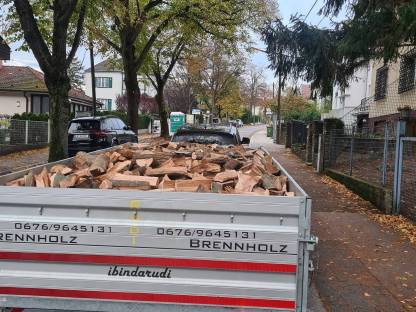 Brennholz Hartholz Esche, Eiche
