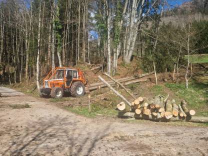 Bild 2:Forstdienstleistungen