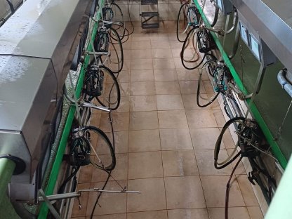 Bild 3:Biete Doppel 5er Fischgrätenmelkstand GEA