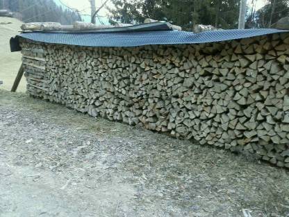 Buchenbrennholz, Rundholz