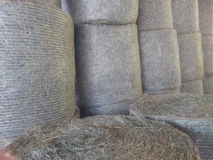 Bio-Heu, beste Qualität, ampferfrei, lose oder Rundballen