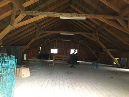 Bild 7:Stallgebäude in absoluter Alleinlage