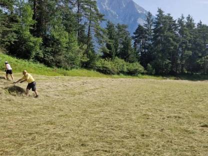 Bild 2:Tiroler Bio-Gärheuballen, hohe Artenvielfalt, ampferfrei