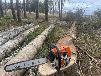 Bild 3:Holzschlägerung und Erdbewegung, Forstwegebau