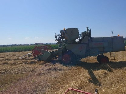 Bild 5:Mähdrescher Claas Matador Gigant