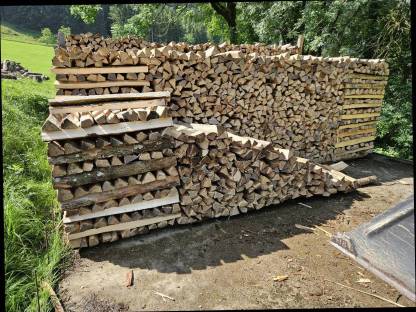 Brennholz