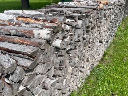 Brennholz Birke