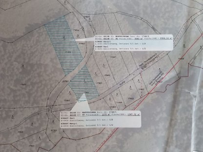 Bild 2:Wald in 4906 Wappeltsham (Ried im Innkreis) zu verkaufen