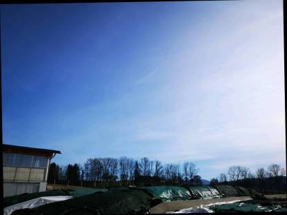 Gras- und Maissilage