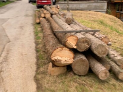 Bild 2:Fichte Stämme 5 m