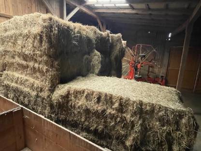 Bild 3:Heu Pferdeheu