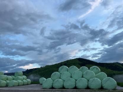 Rundballen Silage