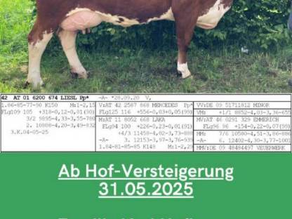 Abhofversteigerung 31.5