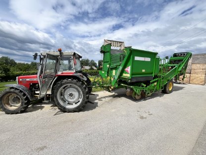 Wühlmaus 1733 P- (kein Grimme)