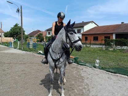 Talentierte Stute mit einem Herz aus Gold