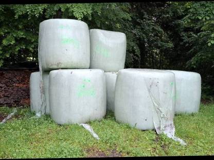 Grassiloballen