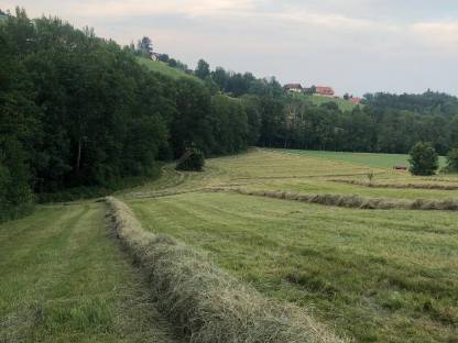 Heuballen