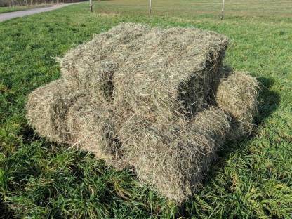 Heu, Stroh in Kleinballen