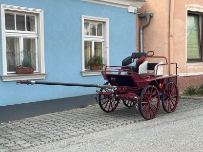 Marathonkutsche
