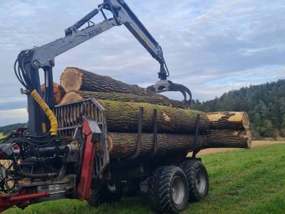 Bild 5:Forstkran Kesla 305T, kein Rückewagen