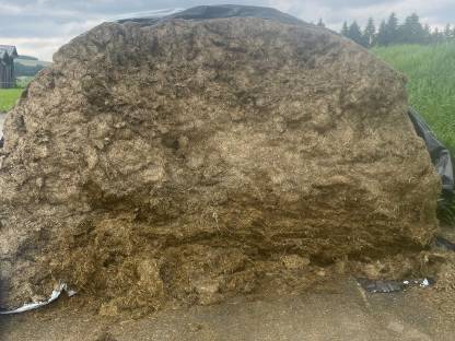 Grassilage Bio