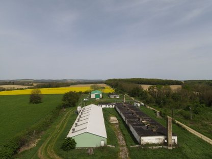 Schweinezuchtanlage und Schlachthof - 8,25 ha - Grenznähe