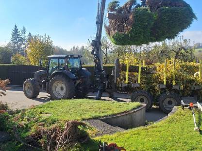 Bild 6:Forstunternehmen im Innviertel