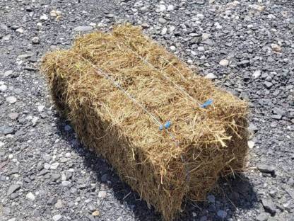 Heu Kleinballen