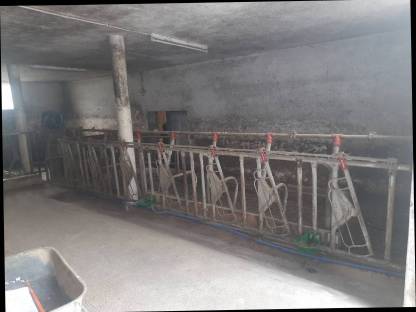 aufstallung betriebsauflösung