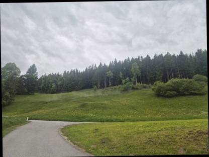 Verpachte 2,3 Hektar schöne Bergwiese