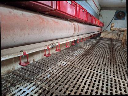 Bild 3:Mobiler Hühnerstall