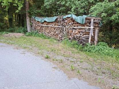 Brennholz