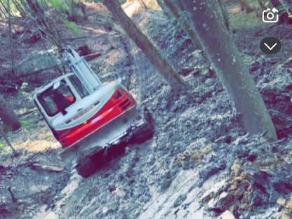 Bild 6:Holzschlägerung und Erdbewegung, Forstwegebau