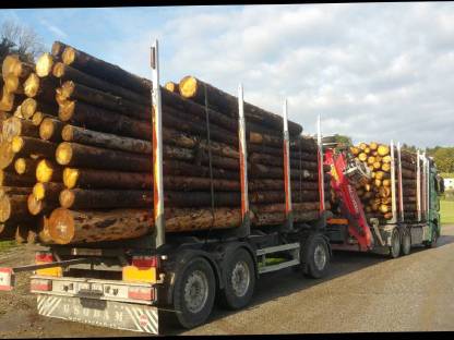 Bild 2:Holzernte und Vermarktung Waldhelfer Forstbetrieb Trummer