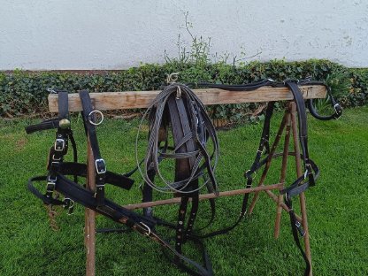 Bild 3:Ponywagen, Geschirr