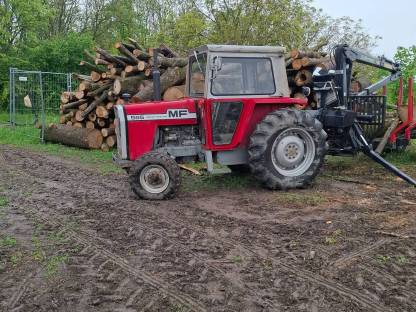 Ferguson 565