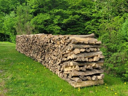 Brennholz Hartholz