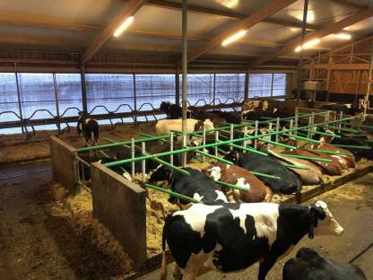 Bild 3:Kunststoff-Bugschwelle Kotschwelle Recyclingmaterial