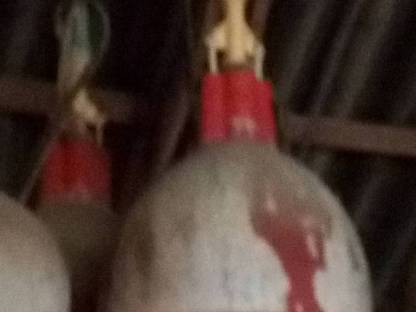 Bild 2:Futtertröge auf Schnecke